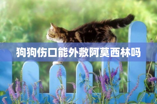 狗狗傷口能外敷阿莫西林嗎