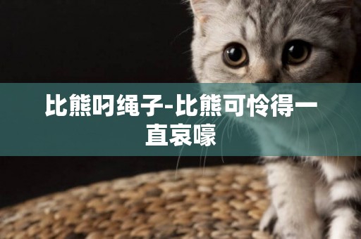 比熊叼繩子-比熊可憐得一直哀嚎
