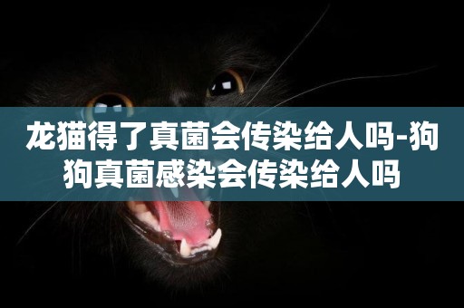龍貓得了真菌會傳染給人嗎-狗狗真菌感染會傳染給人嗎