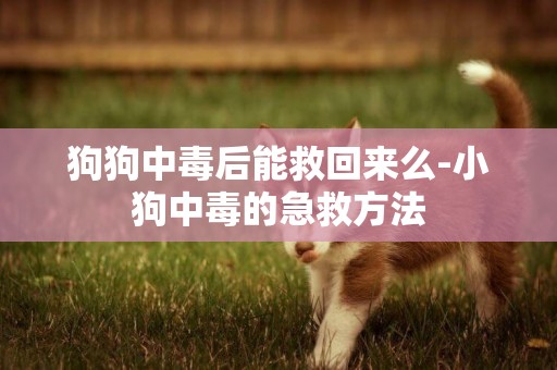 狗狗中毒后能救回來么-小狗中毒的急救方法