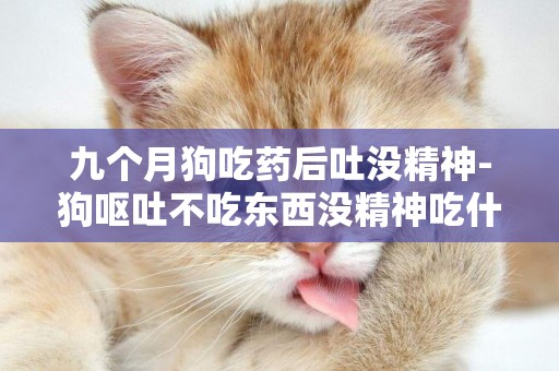 九個月狗吃藥后吐沒精神-狗嘔吐不吃東西沒精神吃什么藥