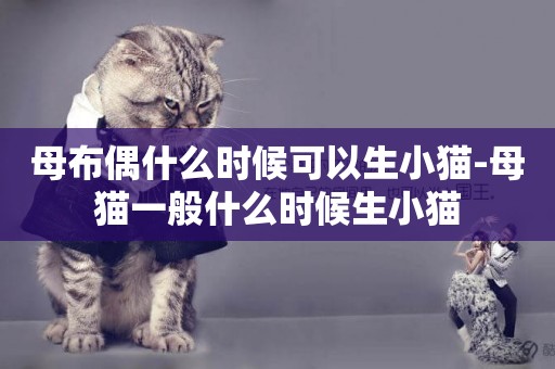 母布偶什么時候可以生小貓-母貓一般什么時候生小貓