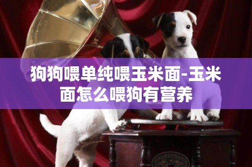 狗狗喂單純喂玉米面-玉米面怎么喂狗有營養