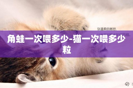 角蛙一次喂多少-貓一次喂多少粒