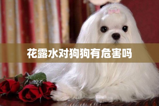 花露水對狗狗有危害嗎