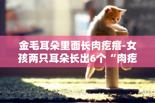 金毛耳朵里面長肉疙瘩-女孩兩只耳朵長出6個“肉疙瘩”