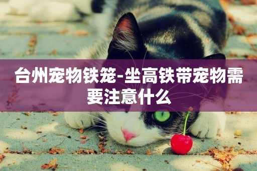 臺州寵物鐵籠-坐高鐵帶寵物需要注意什么
