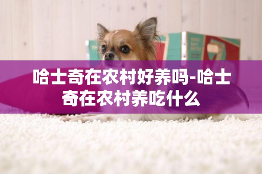 哈士奇在農村好養嗎-哈士奇在農村養吃什么