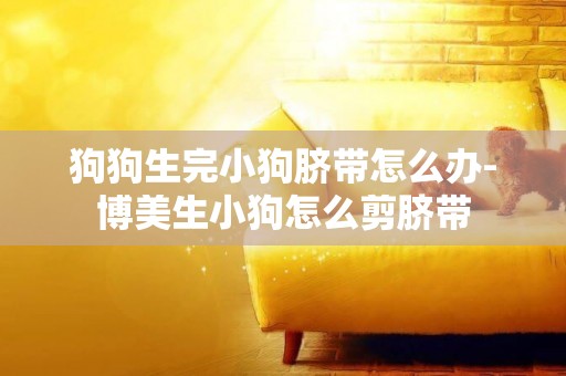 狗狗生完小狗臍帶怎么辦-博美生小狗怎么剪臍帶