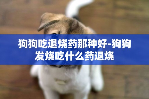 狗狗吃退燒藥那種好-狗狗發燒吃什么藥退燒