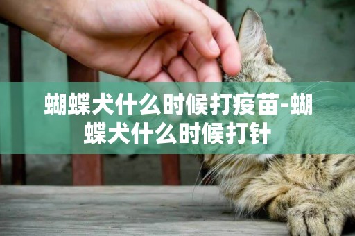 蝴蝶犬什么時候打疫苗-蝴蝶犬什么時候打針