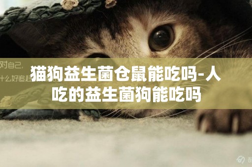 貓狗益生菌倉鼠能吃嗎-人吃的益生菌狗能吃嗎