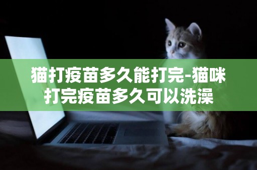 貓打疫苗多久能打完-貓咪打完疫苗多久可以洗澡