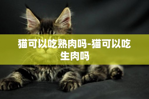 貓可以吃熟肉嗎-貓可以吃生肉嗎