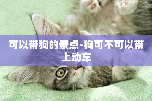 可以帶狗的景點-狗可不可以帶上動車
