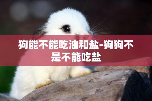 狗能不能吃油和鹽-狗狗不是不能吃鹽