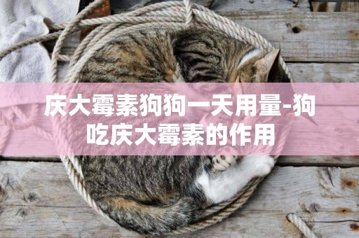 慶大霉素狗狗一天用量-狗吃慶大霉素的作用