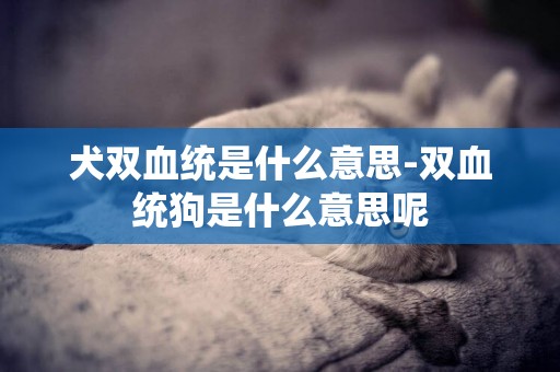 犬雙血統是什么意思-雙血統狗是什么意思呢