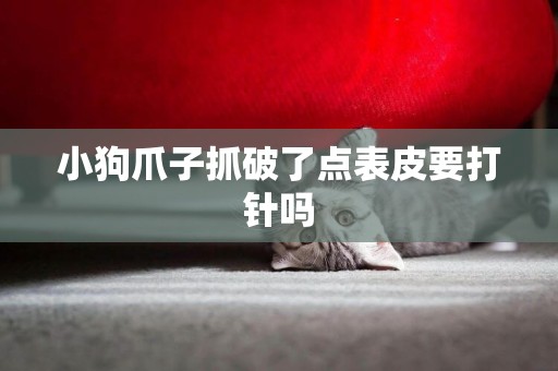小狗爪子抓破了點表皮要打針嗎