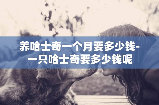養哈士奇一個月要多少錢-一只哈士奇要多少錢呢