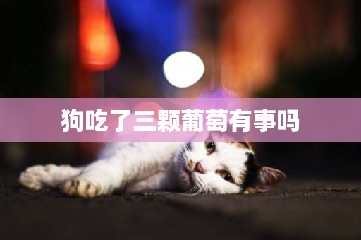 狗吃了三顆葡萄有事嗎