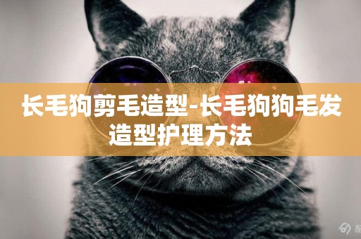 長毛狗剪毛造型-長毛狗狗毛發造型護理方法