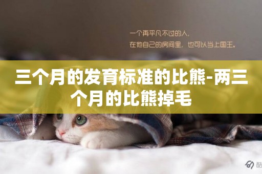 三個月的發育標準的比熊-兩三個月的比熊掉毛