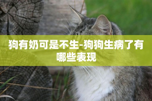 狗有奶可是不生-狗狗生病了有哪些表現