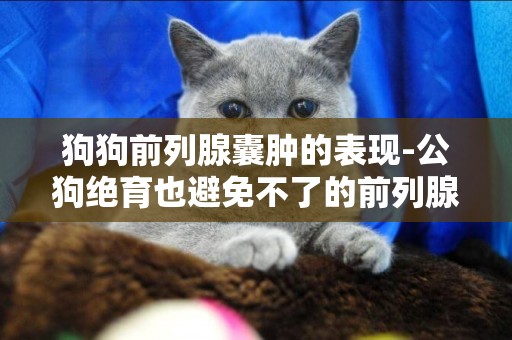 狗狗前列腺囊腫的表現-公狗絕育也避免不了的前列腺癌