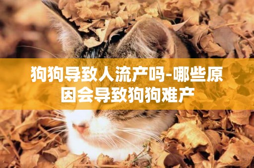 狗狗導致人流產嗎-哪些原因會導致狗狗難產