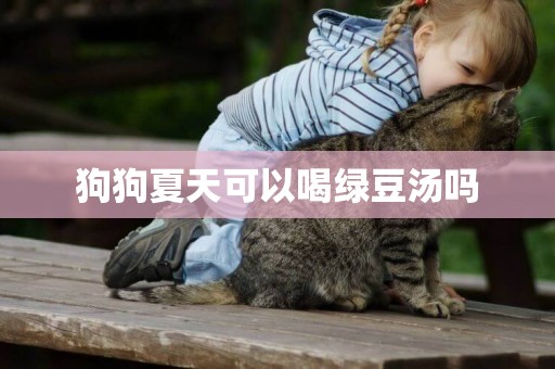 狗狗夏天可以喝綠豆湯嗎