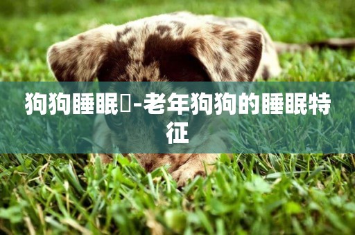 狗狗睡眠淺-老年狗狗的睡眠特征
