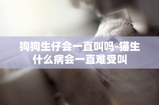 狗狗生仔會一直叫嗎-貓生什么病會一直難受叫