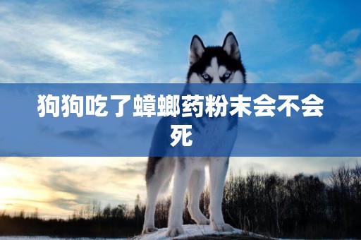 狗狗吃了蟑螂藥粉末會不會死