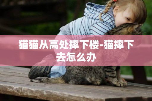 貓貓從高處摔下樓-貓摔下去怎么辦