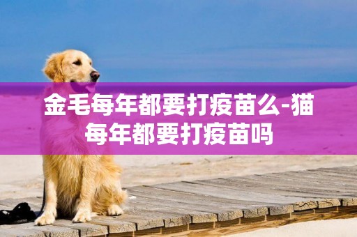 金毛每年都要打疫苗么-貓每年都要打疫苗嗎