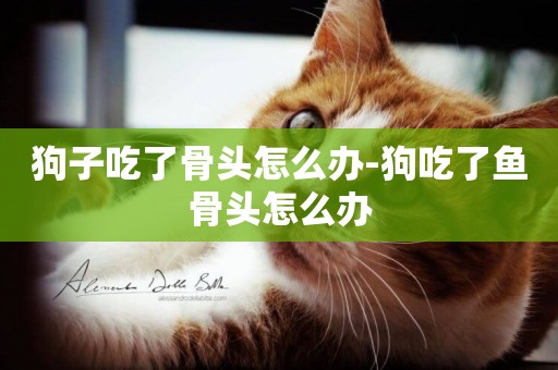 狗子吃了骨頭怎么辦-狗吃了魚骨頭怎么辦