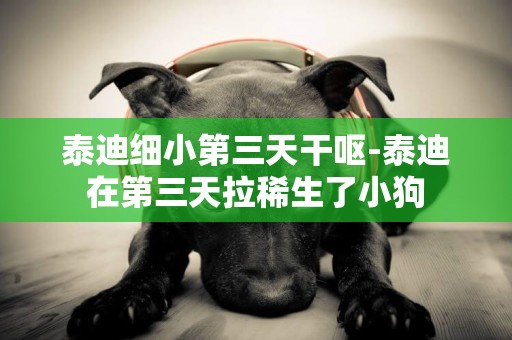 泰迪細小第三天干嘔-泰迪在第三天拉稀生了小狗