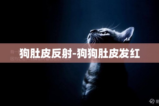 狗肚皮反射-狗狗肚皮發紅