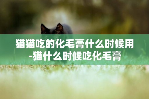 貓貓吃的化毛膏什么時候用-貓什么時候吃化毛膏