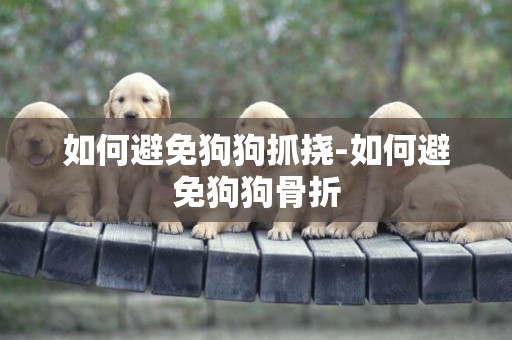 如何避免狗狗抓撓-如何避免狗狗骨折