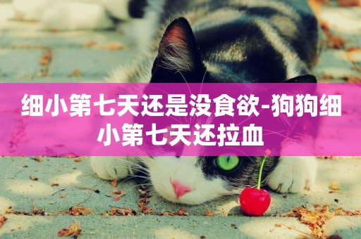 細小第七天還是沒食欲-狗狗細小第七天還拉血