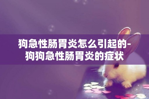 狗急性腸胃炎怎么引起的-狗狗急性腸胃炎的癥狀