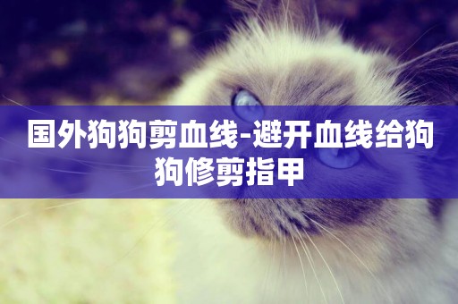 國外狗狗剪血線-避開血線給狗狗修剪指甲