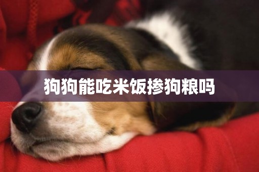 狗狗能吃米飯摻狗糧嗎