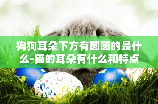 狗狗耳朵下方有圓圓的是什么-貓的耳朵有什么和特點是什么意思