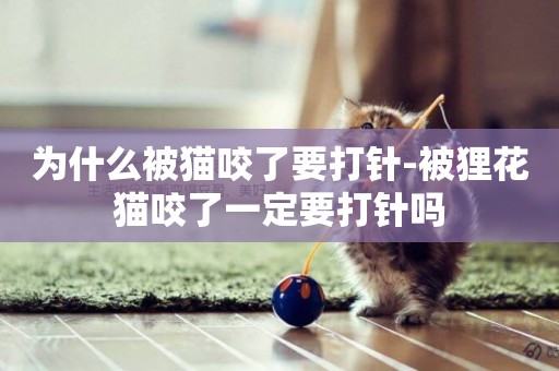 為什么被貓咬了要打針-被貍花貓咬了一定要打針嗎