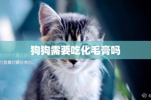 狗狗需要吃化毛膏嗎