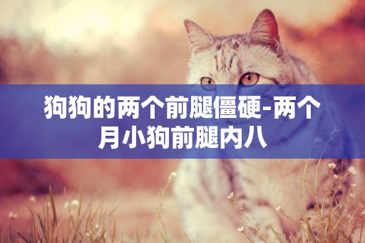 狗狗的兩個前腿僵硬-兩個月小狗前腿內八