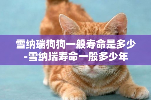 雪納瑞狗狗一般壽命是多少-雪納瑞壽命一般多少年